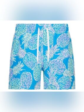 chubbies /// Men’s Pineapple Swimming Shorts 5.5” - Size Medium